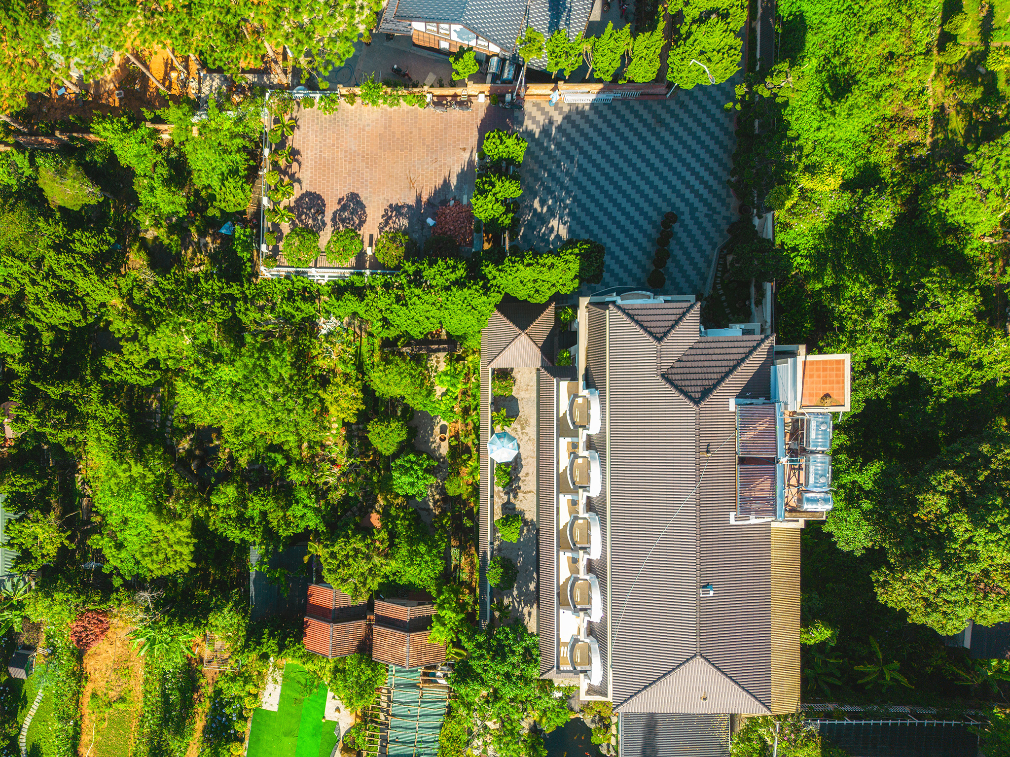 DJI_0223 copy